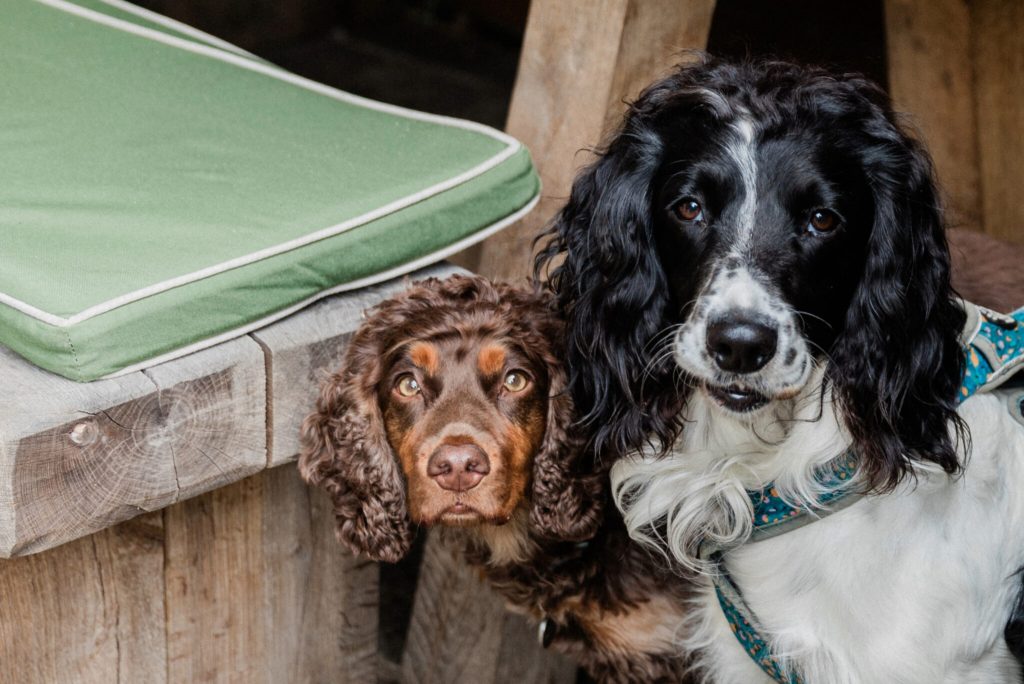 the-swan-inn-ascott-under-wychwood-cotswolds-weddings (6)