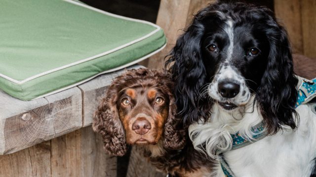 the-swan-inn-ascott-under-wychwood-cotswolds-weddings (6)