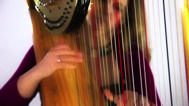 harpist-fiona-hosford-cotswolds-weddings (5)